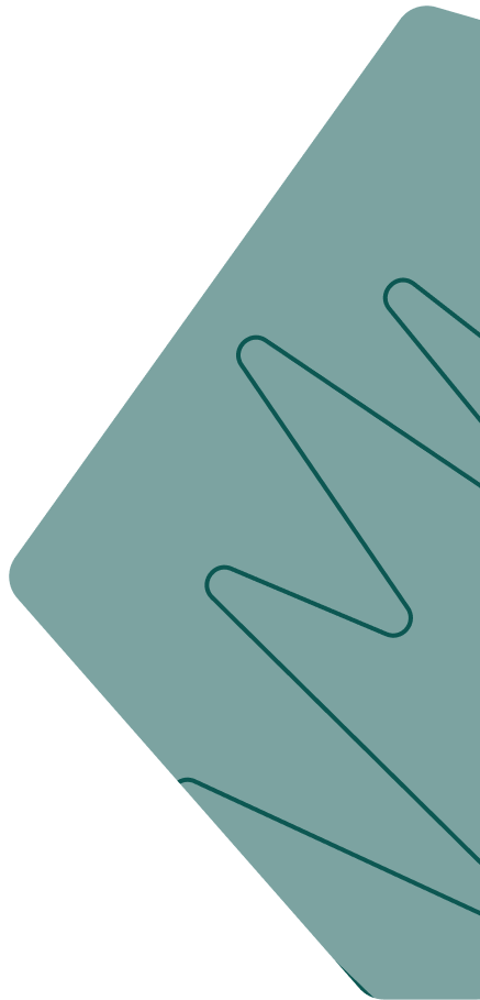 From Vision to Digital Evolution — Simplified